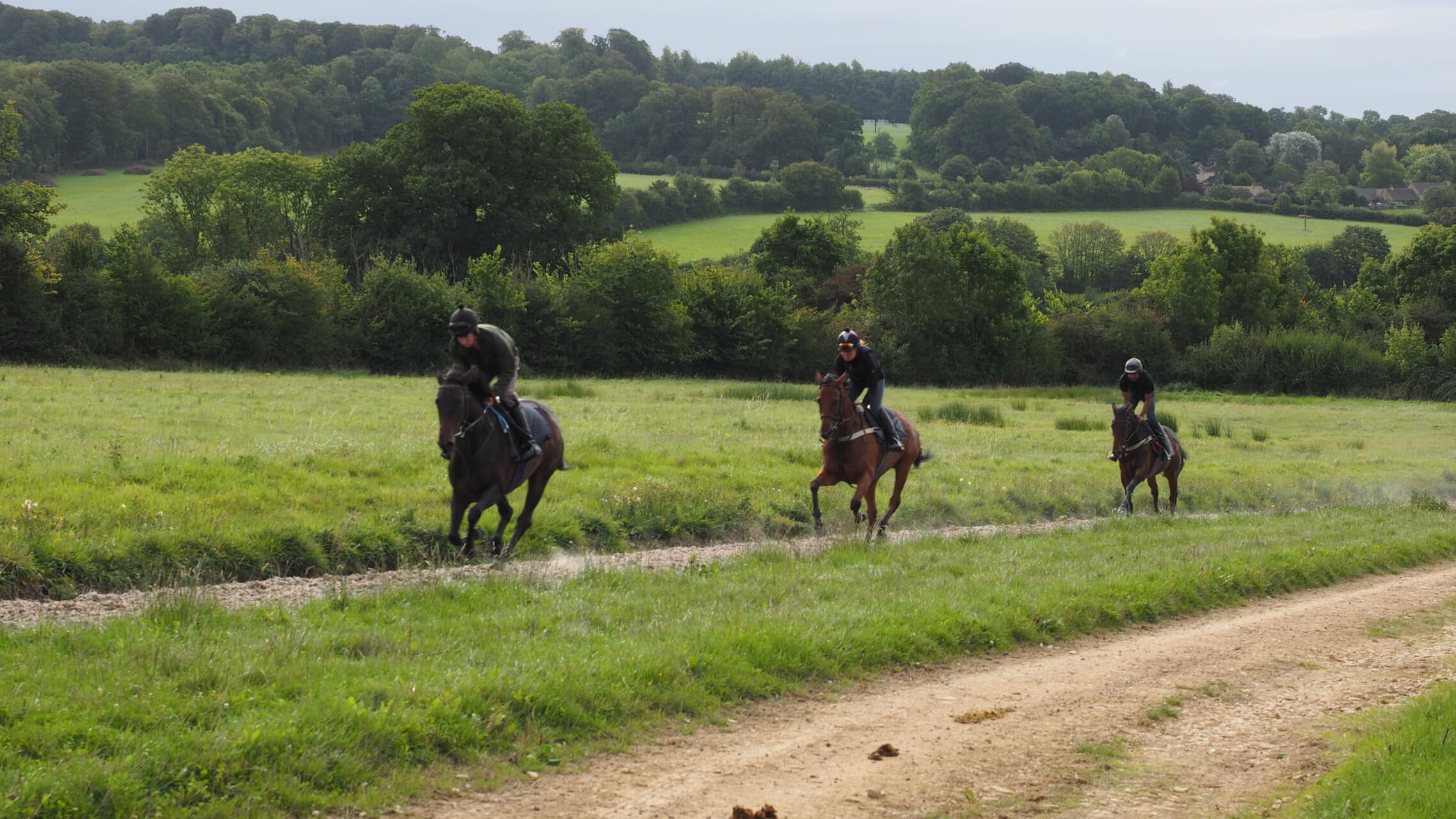 Three racehorses and their riders exercising on rural gallops